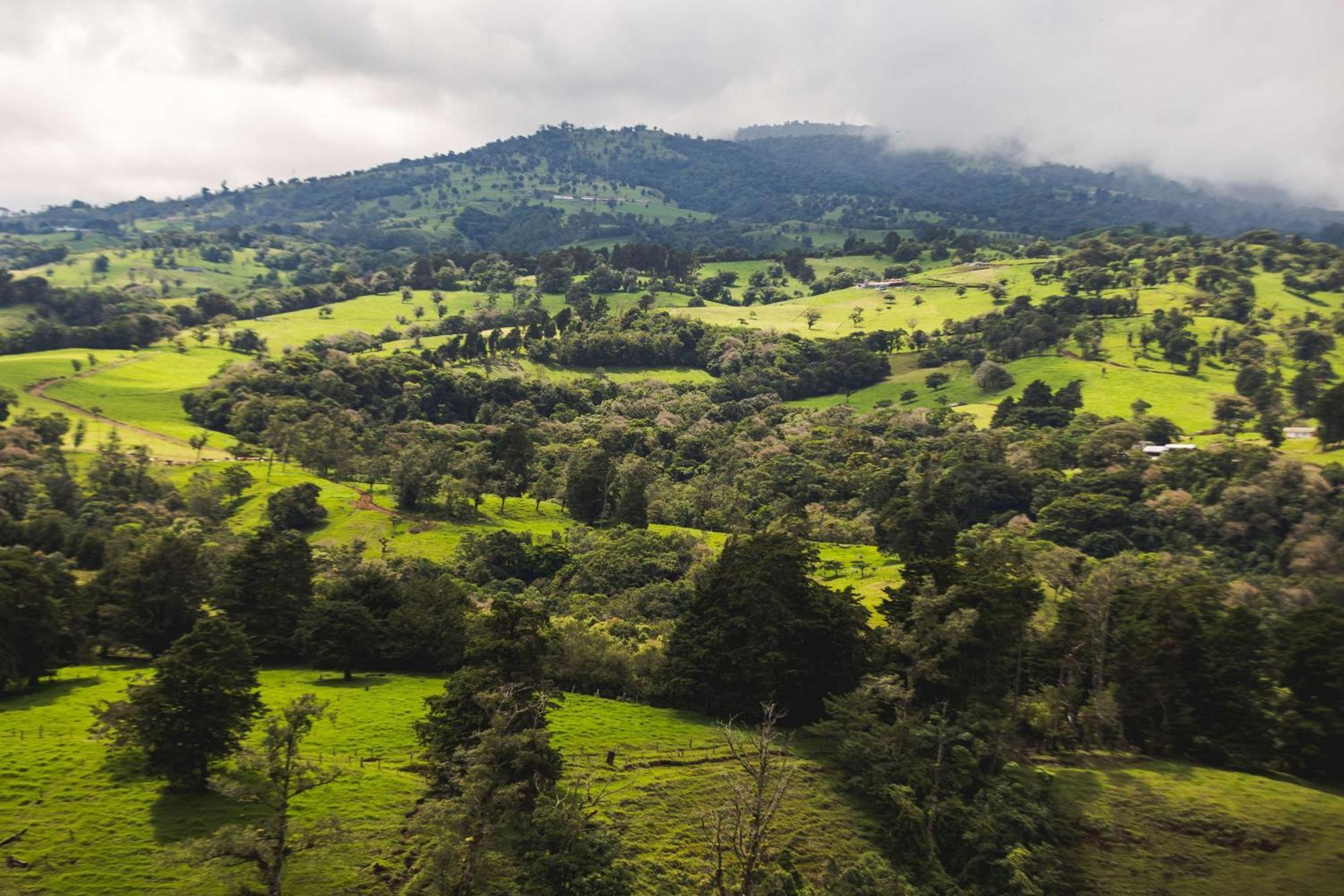 Hotel Hyatt Centric San Jose Escazu Extérieur photo